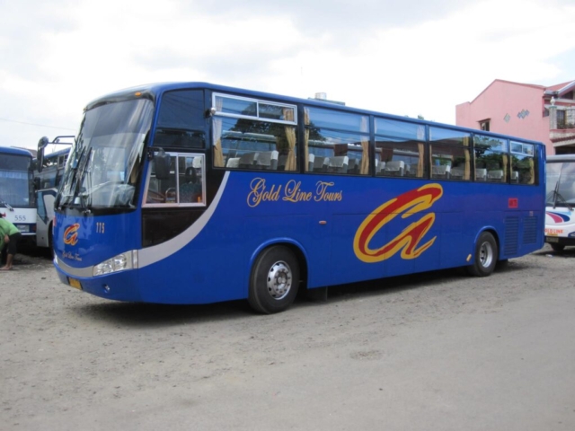 Bus for rental