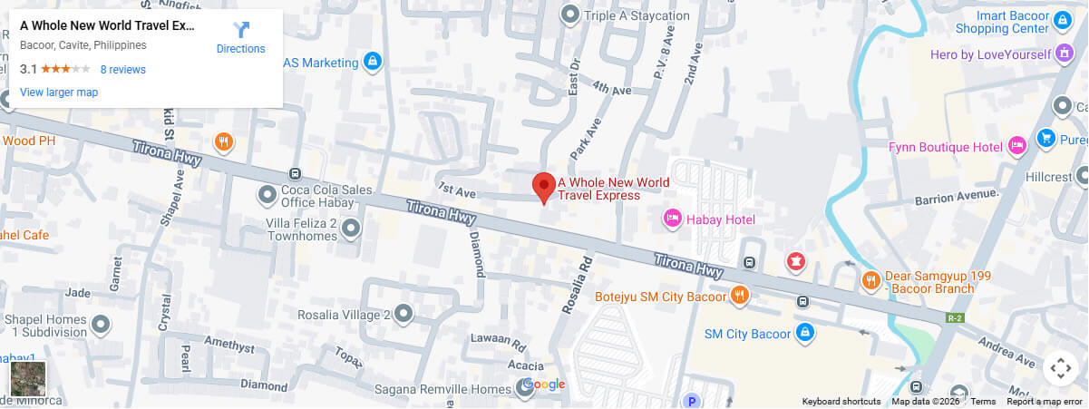 a whole new world travel express