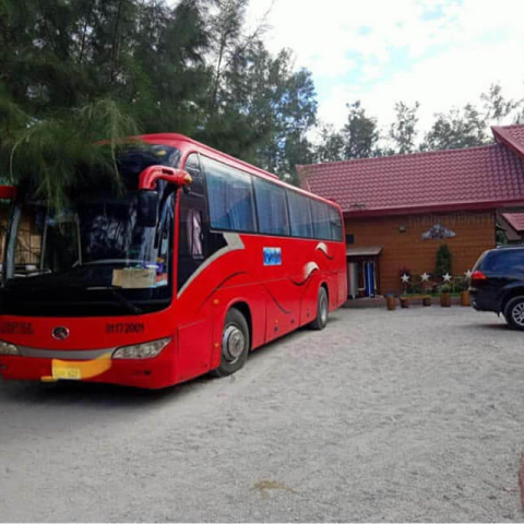 Linsvile Travel & Tours