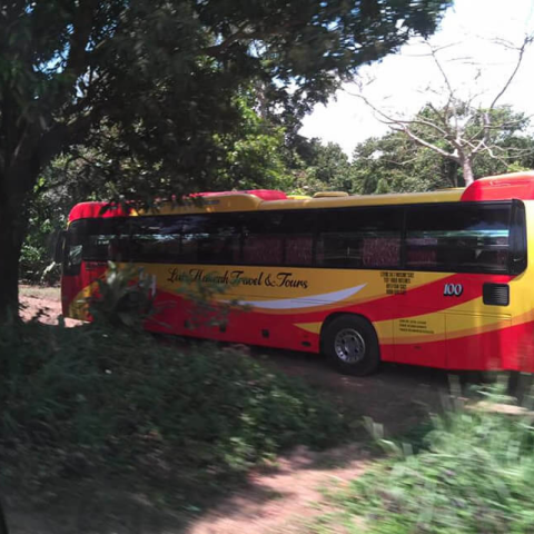 Luis Hannah Travel & Tours