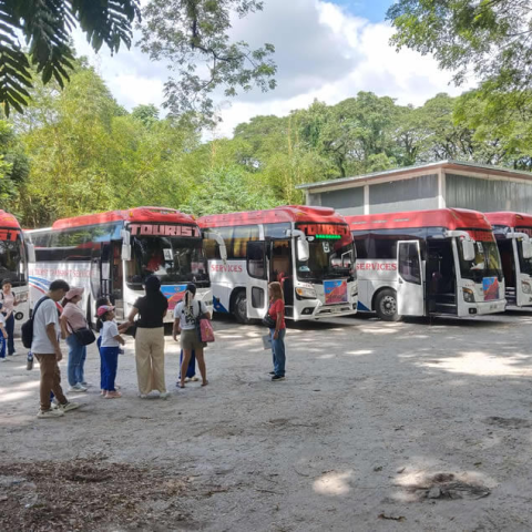bus for rent