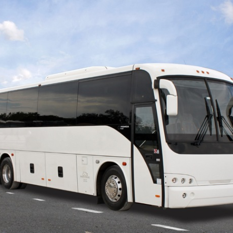 Tourist Bus Hire